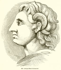 Antique Head of Alexander by English School