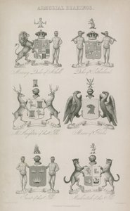 Armorial Bearings