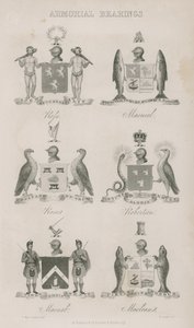 Armorial Bearings by English School