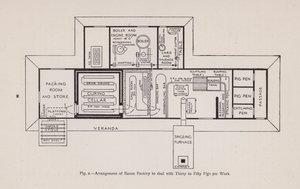 Arrangement of bacon factory to deal with thirty to fifty pigs per week