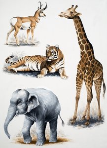 Assorted Animals
