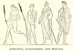 Athletes, Paidotribes, and Herald by English School