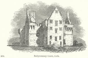 Ballyromney Court, Cork
