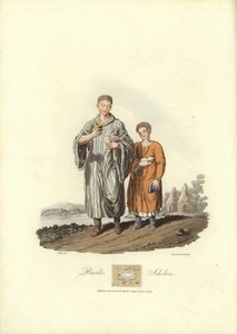 Bardic scholars
