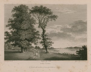 Barn Elms