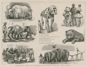 Barnum