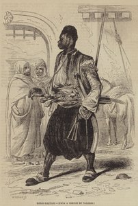 Bashi-Bazouk