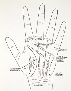 Basic Lines and Lesser Lines of the Hand