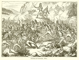 Battle of Busaco, 1810