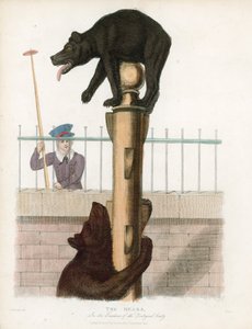 Bear Pit, London Zoological Gardens, Regents Park by English School
