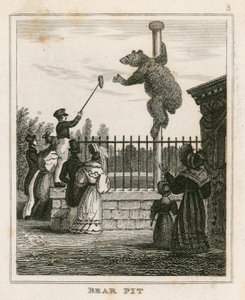 Bear Pit, London Zoological Gardens, Regents Park by English School