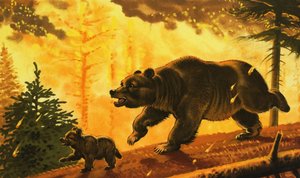 Bear and Its Cub Running from Forest Fire