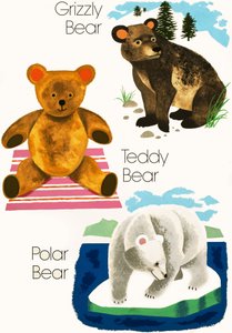 Bears