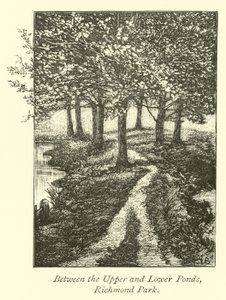 Between the Upper and Lower Ponds, Richmond Park by English School