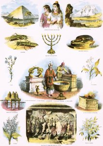 Biblical Illustrations