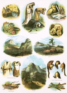 Biblical Illustrations by English School