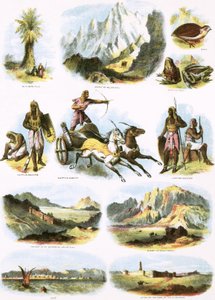 Biblical Illustrations