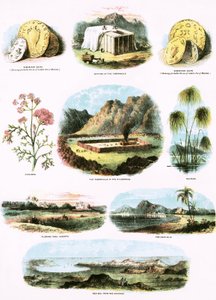 Biblical Illustrations