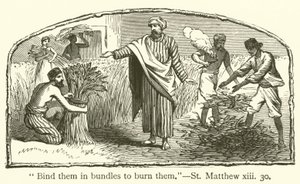 Bind them in bundles to burn them, St Matthew, xiii, 30 by English School