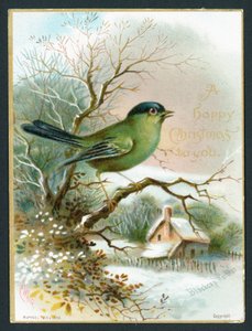 Blackcap Warbler by English School