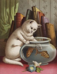 Blanchie and the Goldfish by English School