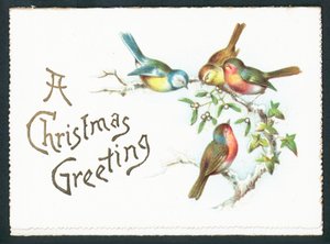 Blue Tits and Robins