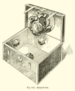 Bonnet-box by English School
