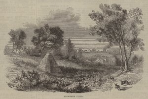Bosworth Field
