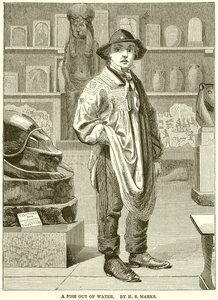 Boy at Museum, A Fish Out of Water by English School