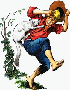 Boy Attacked by Cat by English School