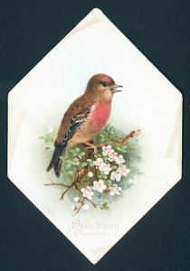 Brambling by English School
