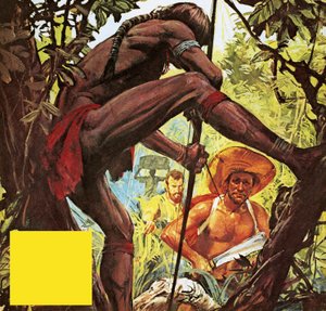 Brazil: The Country Which Hacked a City from the Jungle by English School