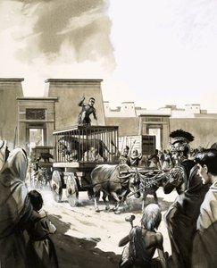 Bread and Circuses