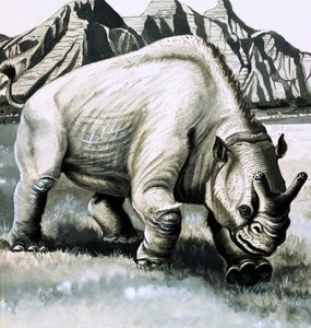 Brontotherium from the Oligocene Age