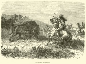 Buffalo hunting by English School