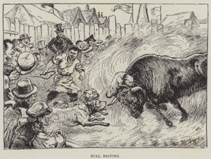 Bull Baiting