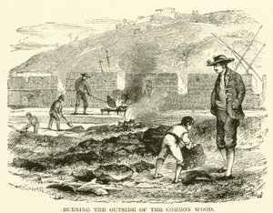Burning the Outside of the Common Wood by English School