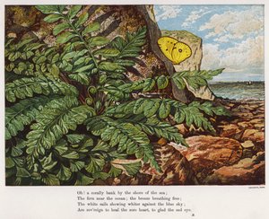 Butterfly and fern at the base of a cliff by the sea