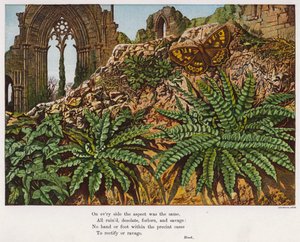 Butterfly and ferns amidst the ruins of an abbey