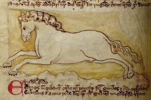 Horse, from Bestiary