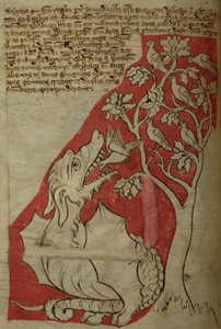 The Perindens Tree, from Bestiary