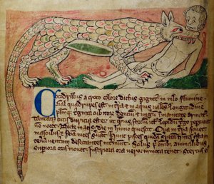 Crocodile, from Bestiary
