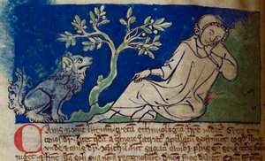 Dog, from Bestiary by English School
