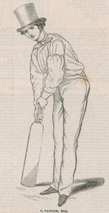 C. Taylor by English School