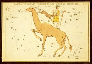 Camelopardalis, Tarandus and Custos Messium, pub. 1825