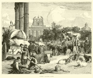 Campo Vaccino, Rome