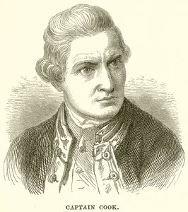 Captain Cook by English School