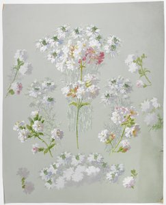 Carpet Design