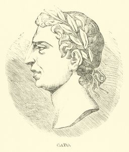 Cato by English School
