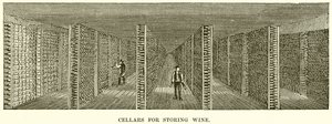 Cellars for Storing Wine